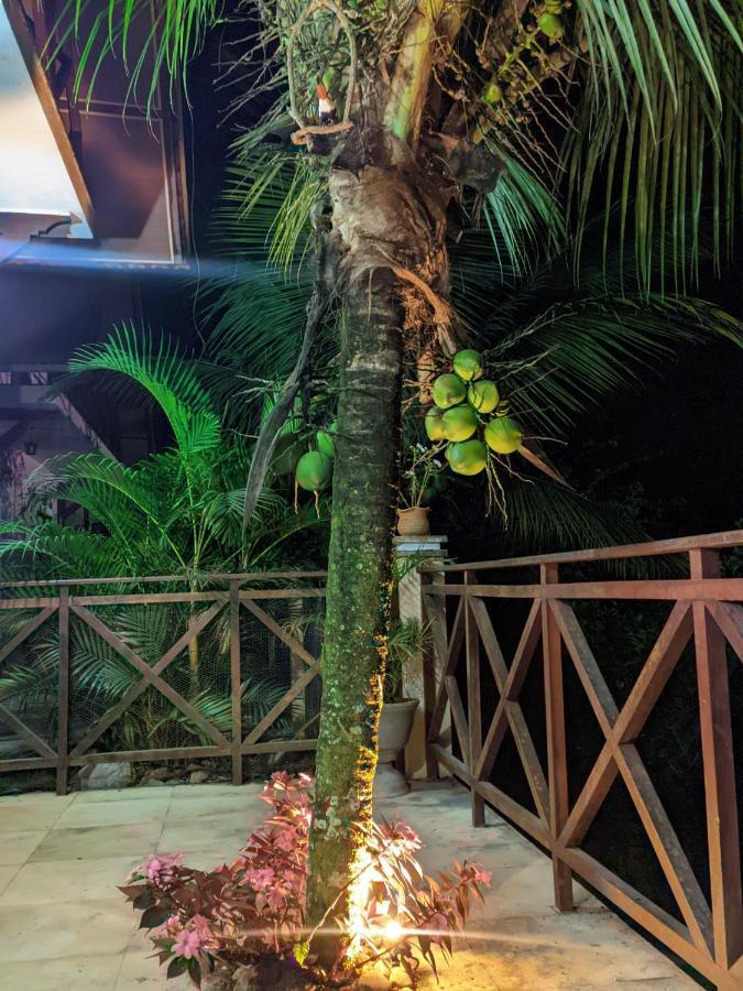 Guaramiranga-Ce Chale Do Rei Villa Bagian luar foto